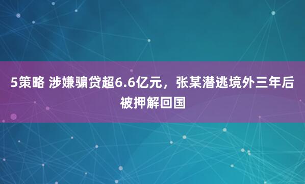 5策略 涉嫌骗贷超6.6亿元,张某潜逃境外三年后被押解回国