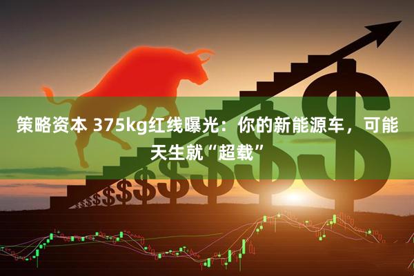 策略资本 375kg红线曝光:你的新能源车,可能天生就“超载”