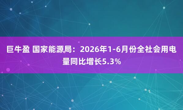 巨牛盈 国家能源局：2026年1-6月份全社会用电量同比增长5.3%
