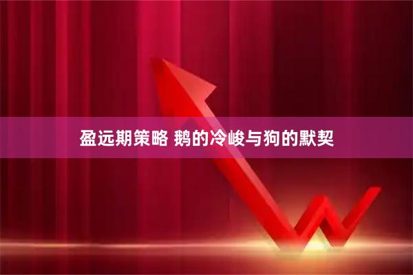 盈远期策略 鹅的冷峻与狗的默契